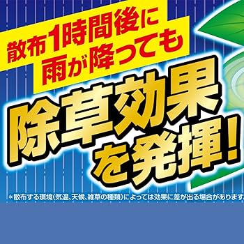 Amazon | フマキラー カダン除草王シリーズ ザッソージエース 1L